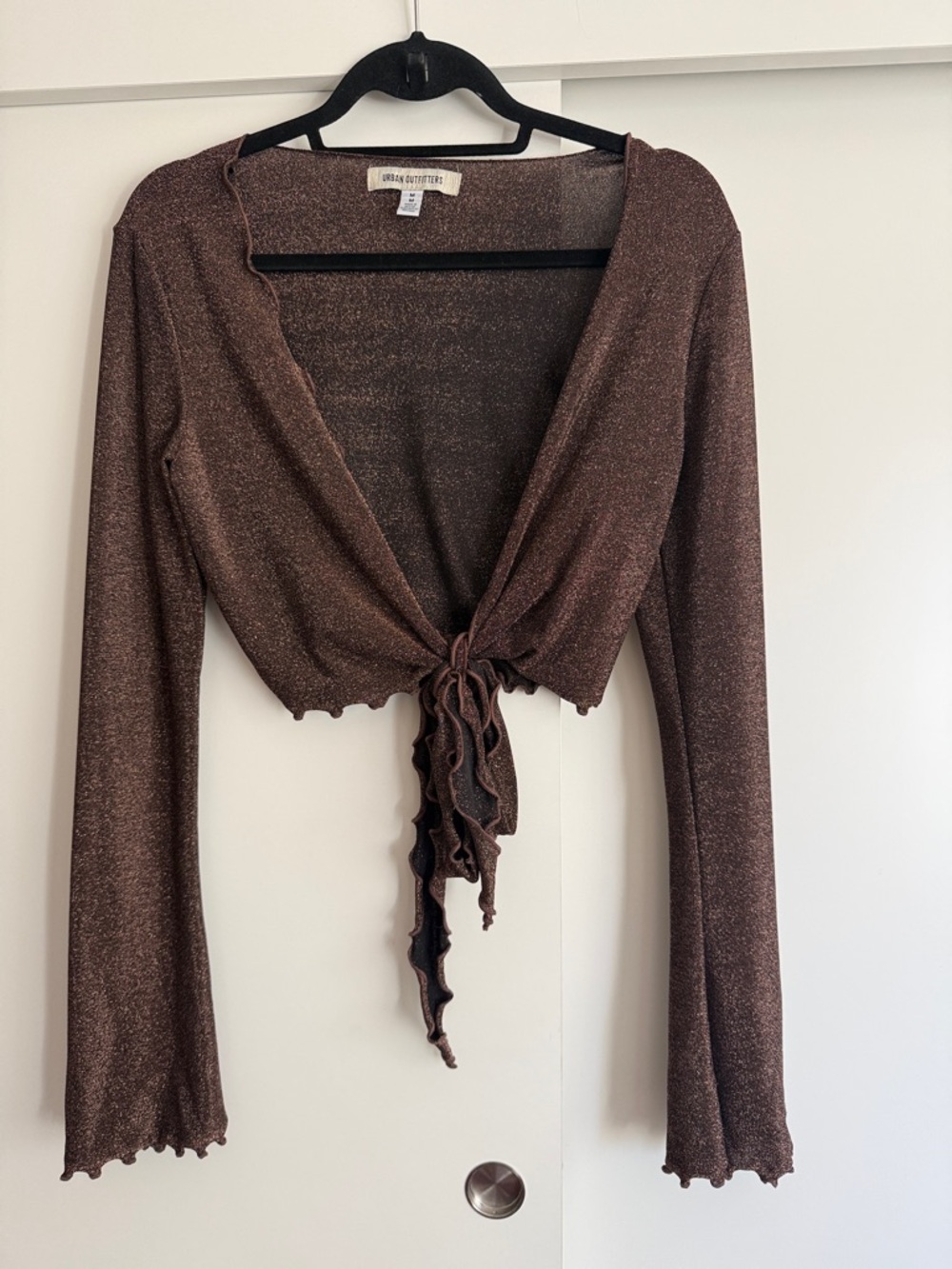 Urban Outfitters Metallic Brown Tie-Front Ruffle Crop Top